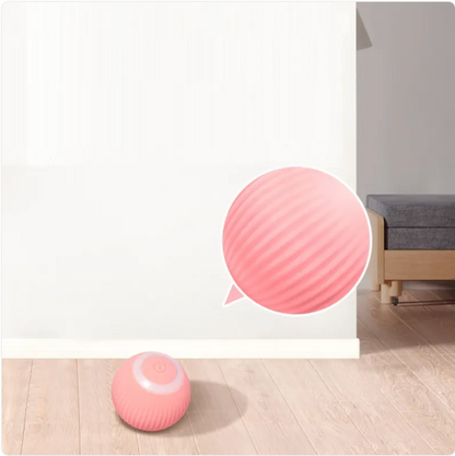 Zenvi Orbit — Smart Rolling Teaser Ball