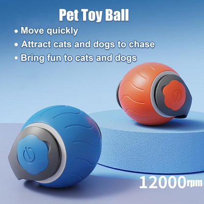 Zenvi Speedy Tail — Self-Play Cat Chase Toy