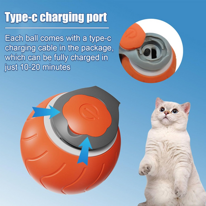 Zenvi Speedy Tail — Self-Play Cat Chase Toy